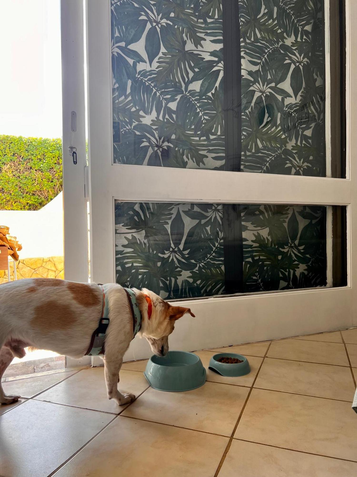 Studio Albufeira Jardim T0 外观 照片